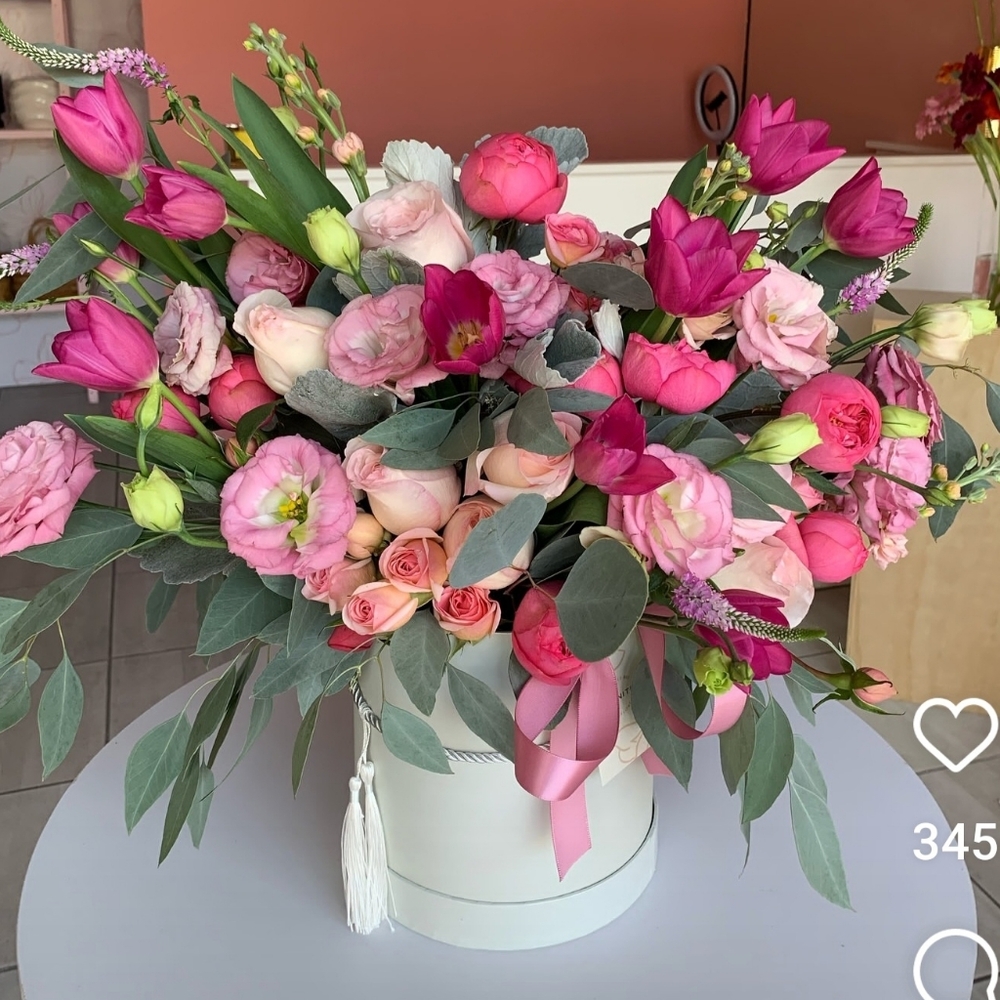 Meet your Posher, Diana